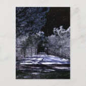 月の影 ポストカード (正面)