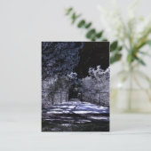 月の影 ポストカード (スタンド正面)