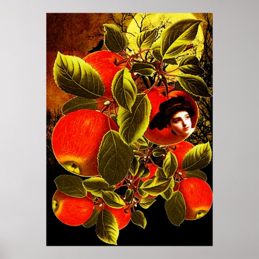 月の明るい夜 ポスター (正面)