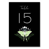 月の月相 テーブルナンバー (正面)