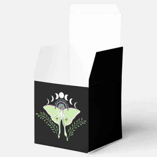 月の月相 フェイバーボックス (オープン)