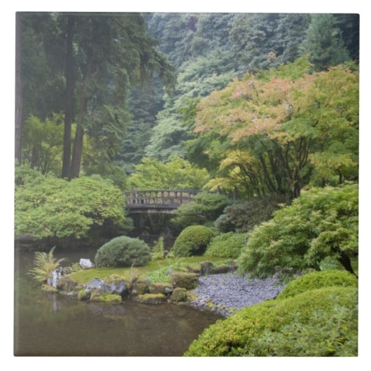 月の橋を架ける散歩池 タイル (正面)