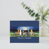 月の水に入ったお洒落猫の絵はがき ポストカード (スタンド正面)