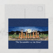 月の水の中のジャクお洒落ラビットのカラーArt P ポストカード (正面/裏面)