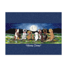 月の水の色お洒落の絵はがき内の犬