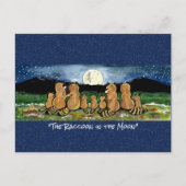 月の水の色のお洒落はがきアライグマ ポストカード (正面)