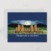 月の水の色のお洒落はがきアライグマ ポストカード (正面/裏面)