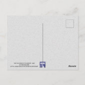 月の水の色のお洒落はがきアライグマ ポストカード (裏面)