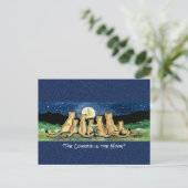 月の水の色のお洒落はがきクーガー ポストカード (スタンド正面)