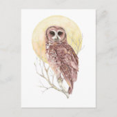 月の水色の鳥、動物と木のフクロウ ポストカード (正面)