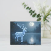 月の白鹿 ポストカード (スタンド正面)
