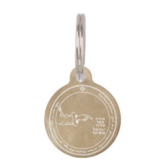 月の第4星形五角形 ペット　ネームタグ