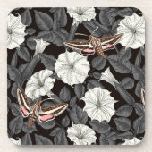 月の花とスフィンクスの蛾2 コースター (正面)