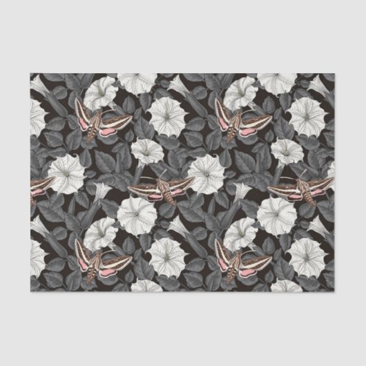 月の花とスフィンクスの蛾2 薄葉紙 (正面)