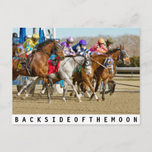 月の裏#6 ポストカード