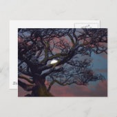 月の記憶 ポストカード (正面/裏面)