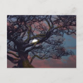 月の記憶 ポストカード (正面)