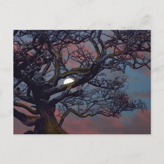 月の記憶 ポストカード (正面)