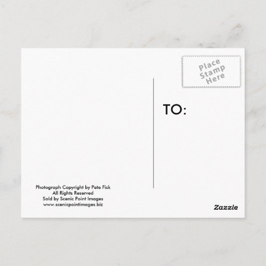 月のLit夜 ポストカード (裏面)