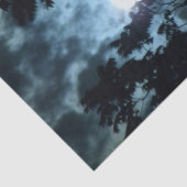 月はツリーブランチの後ろの夜を照らします 薄葉紙 (詳細)