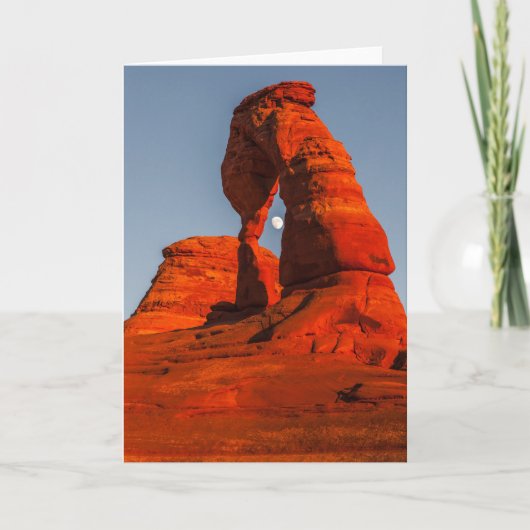 月を撃って下さい カード (正面)