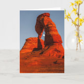 月を撃って下さい カード (黄色い花)