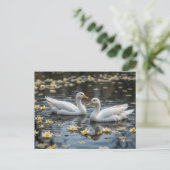 月エレガントに照らされた池の白鳥 ポストカード (スタンド正面)