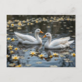 月エレガントに照らされた池の白鳥 ポストカード (正面)