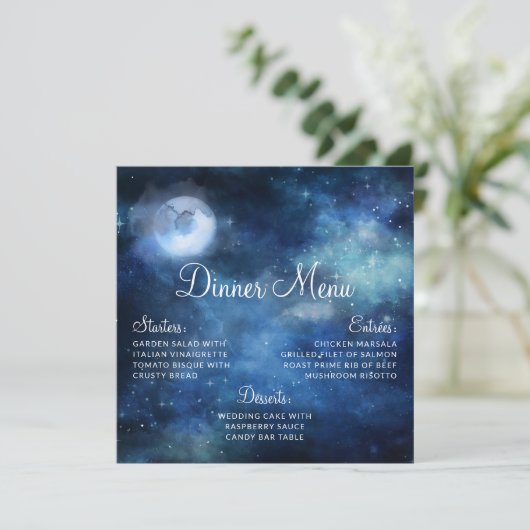 月スカイフルムーンシテリア銀河系スクエアディナー メニュー (スタンド正面)
