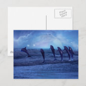 月光によるイルカの学校 ポストカード (正面/裏面)