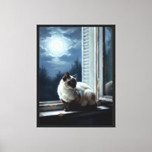 月光に浮かぶ猫