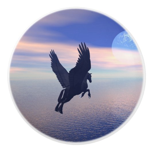 月光のペガソス セラミックノブ (正面)