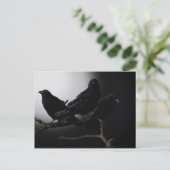 月光の下の不気味なカラス ポストカード (スタンド正面)