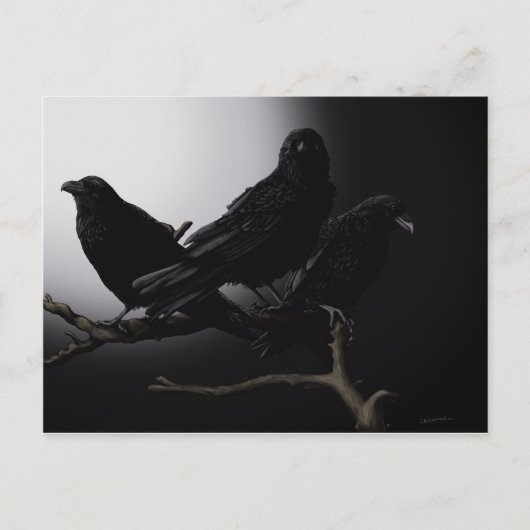 月光の下の不気味なカラス ポストカード (正面)