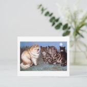 月光の中で出会う子猫たち、ルイス・ウェイン ポストカード (スタンド正面)