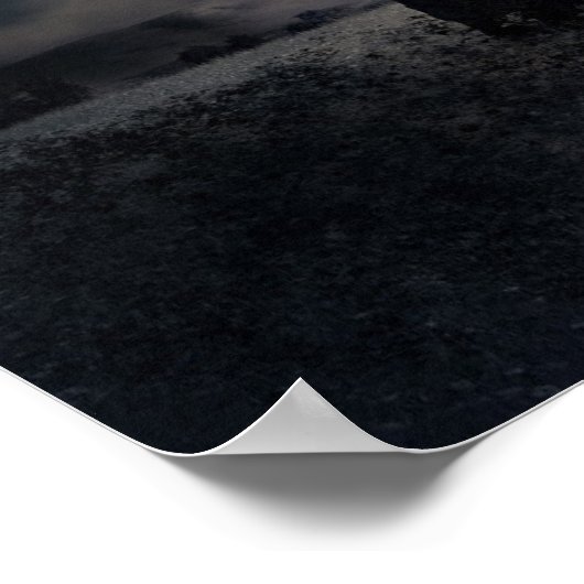 月光の木 ポスター (角)