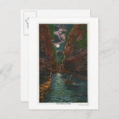 月光の花の景色 ポストカード (正面/裏面)