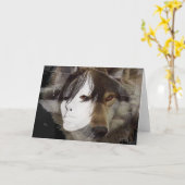 月光(カード)のHecate カード (黄色い花)