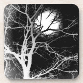 月光 コースター (正面)