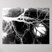 月光 ポスター (正面)