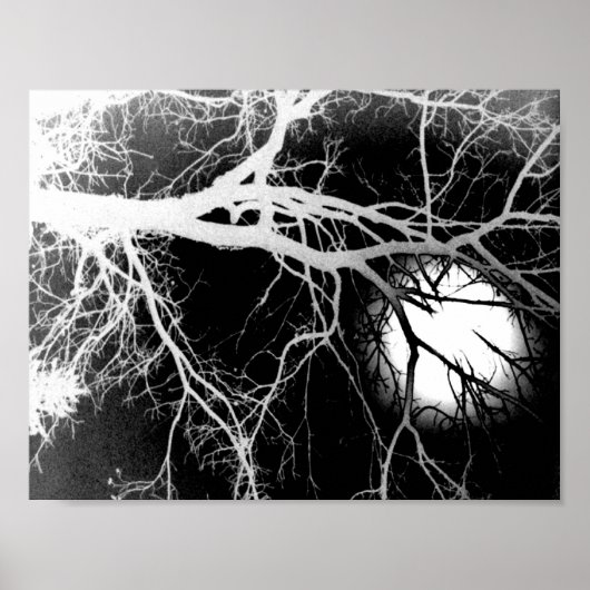 月光 ポスター (正面)