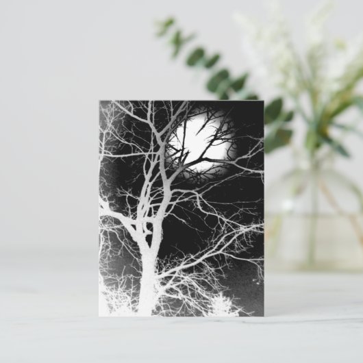 月光 ポストカード (スタンド正面)