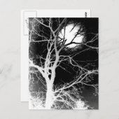 月光 ポストカード (正面/裏面)