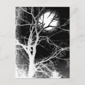 月光 ポストカード (正面)