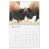 月刊バイソンカレンダー – 国立公園版 カレンダー (2月 2026)