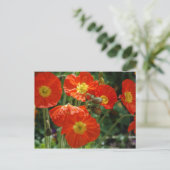 月名はがき ポストカード (スタンド正面)