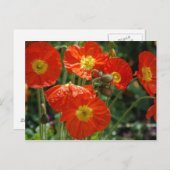 月名はがき ポストカード (正面/裏面)