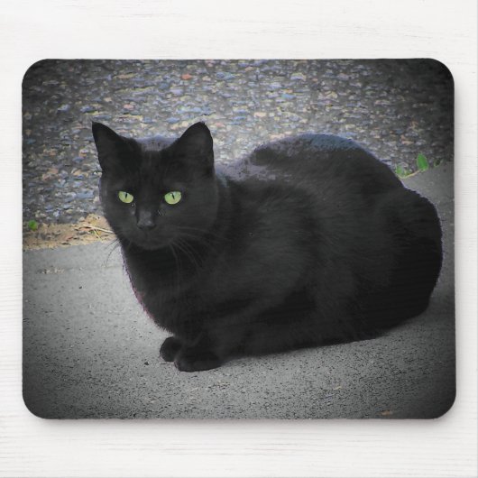 月明かりに捕らわれた黒猫 マウスパッド (正面)