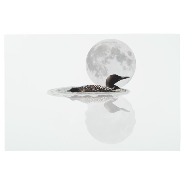 月明かりのメタルウォールアートでルーンが泳ぐ メタルプリント (正面)