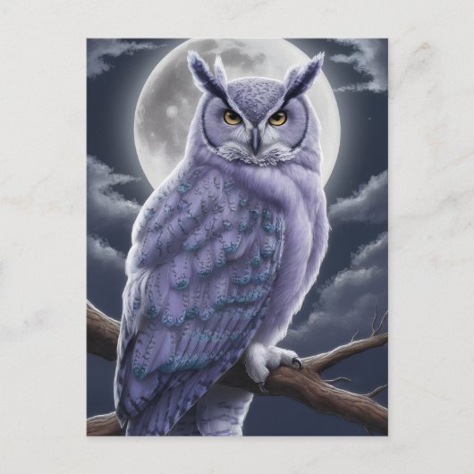 月明かりの下でフクロウ ポストカード (正面)